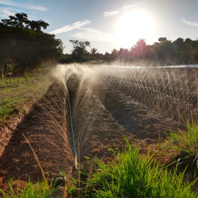 COM01180001_1 COM01180001_1